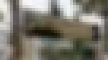 رابط التقديم.. وزارة التعليم العالي تفتح باب الترشح لبرنامج الليسانس الوطني الجديد